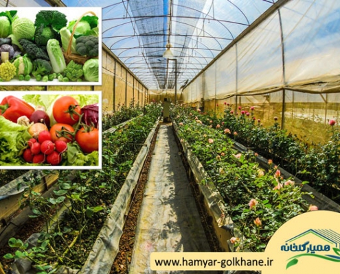عوامل مؤثر در رشد محصولات گلخانه ای
