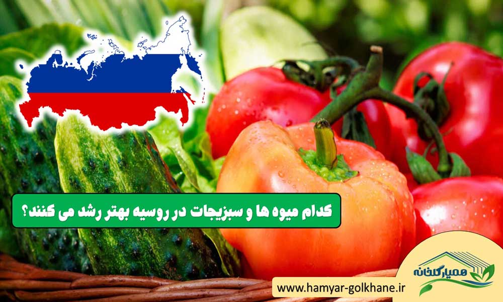 میوه و سبزیجات در روسیه