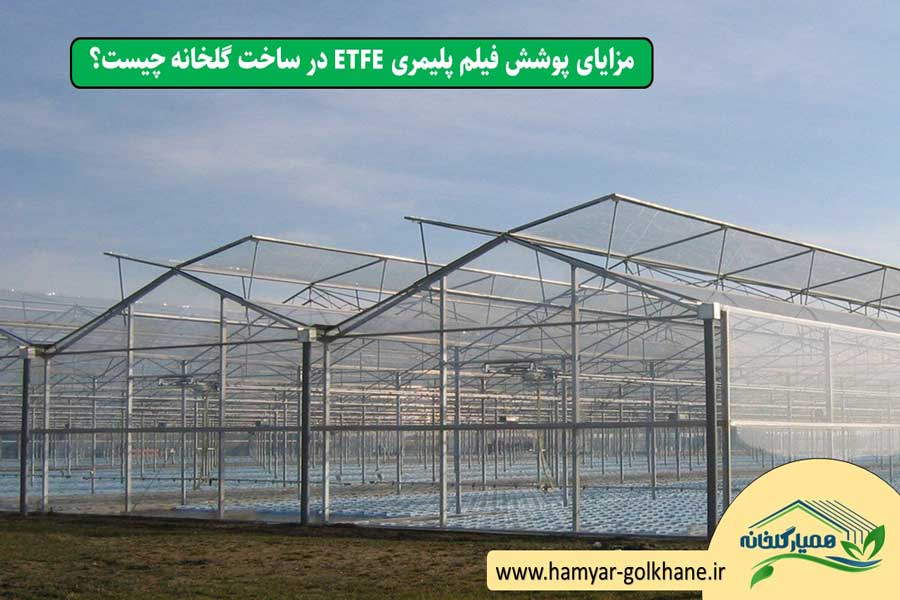 مزایای پوشش ETFE در ساخت گلخانه 