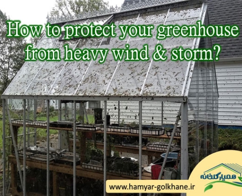 محافظت از گلخانه در برابر باد و طوفان